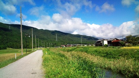 北琵琶湖サイクリングロード(大浦川沿い）.jpg