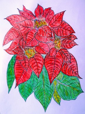 ポインセチア.JPG
