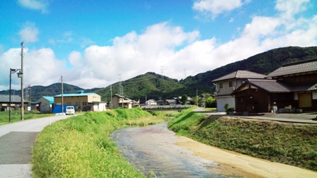 北琵琶湖サイクリングロード(大浦川沿い） (2).jpg