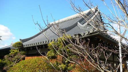 015當専寺 (2) - コピー.JPG