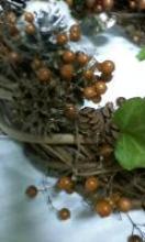 ヘクソカズラの実