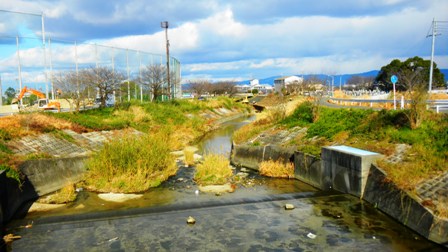 018葛城川 - コピー.JPG