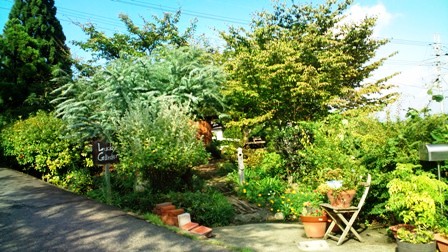 ラッキーガーデン (2).jpg