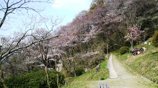 007さくら広場.JPG