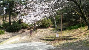 004公園管理事務所東隣.JPG