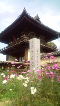 般若寺 (2).jpg