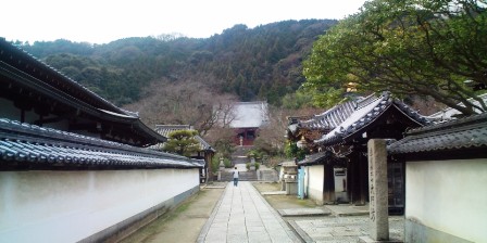 矢田寺 (2).JPG