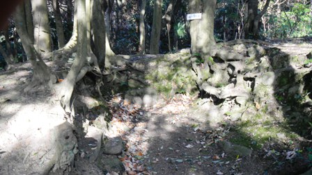 山畑古墳群 (5).JPG