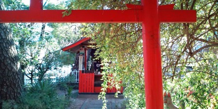 39染殿池畔の稲荷神社(喜多向神社).JPG