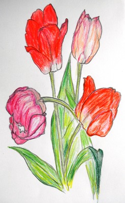 チューリップＢ.JPG