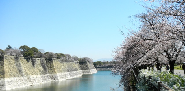 大阪城の桜 (7).JPG