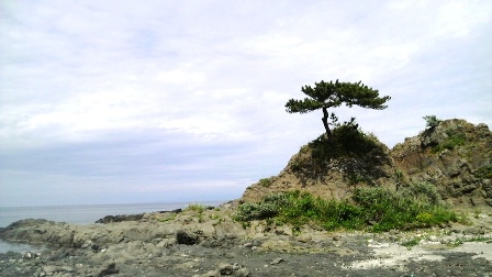 粟島の海 (3).JPG