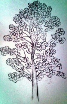 銀杏(下書き).JPG