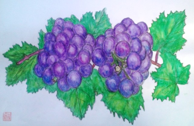 葡萄.jpg