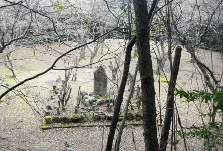 015崇福寺、金堂・講堂跡.JPG