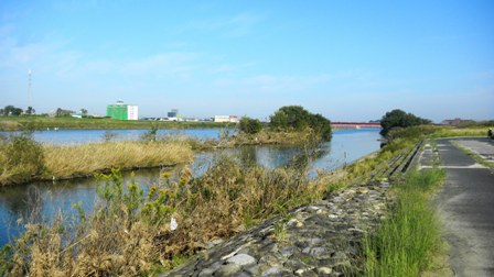 003千代川  (2).JPG