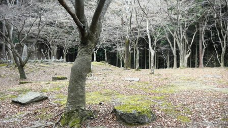 015崇福寺、金堂・講堂跡碑 (2).JPG