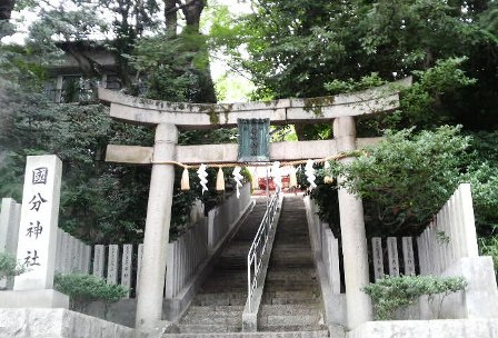 国分神社 (2).JPG