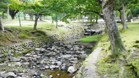 009吉城川 (3).JPG