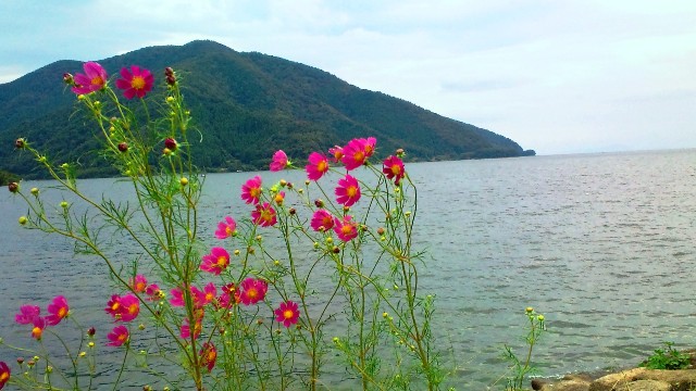 大浦から海津大崎へ (3).jpg