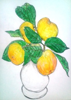 蜜柑Ｂ.jpg