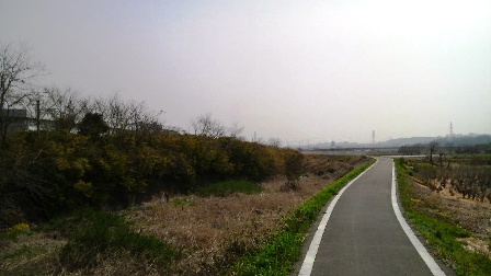 鏑川畔の道.JPG