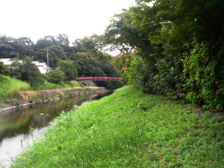 竜田川・竜田公園（紅葉橋） (2).JPG