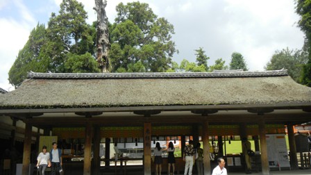 014春日大社 (2).JPG