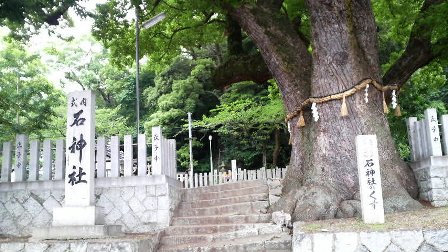 石神社と大楠.jpg