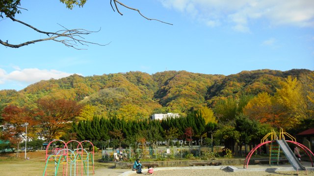 飯盛山（生駒山系）の紅葉（北条公園から）.JPG