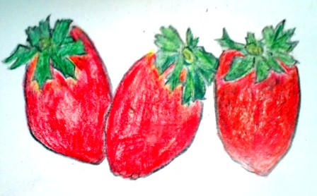 イチゴ (2).JPG