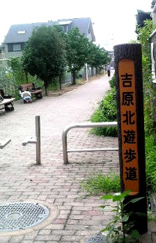 吉原遊歩道 (3).JPG