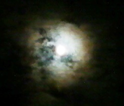月にむら雲.JPG