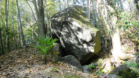 奥ノ宮道と古墳 (2).JPG