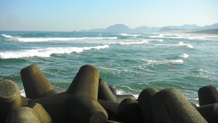 015千代川河口突堤より砂丘方向を望む .JPG