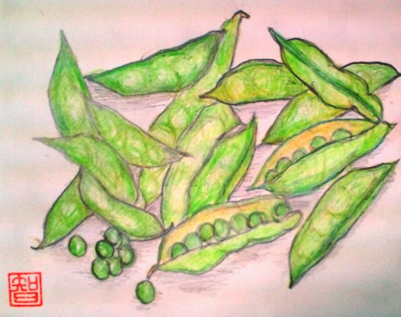 豌豆.JPG