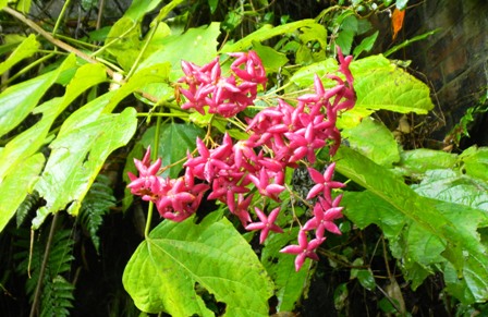 32久比岐自転車道 (9) b.JPG