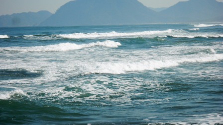 015千代川河口突堤より砂丘方向を望む (2).JPG