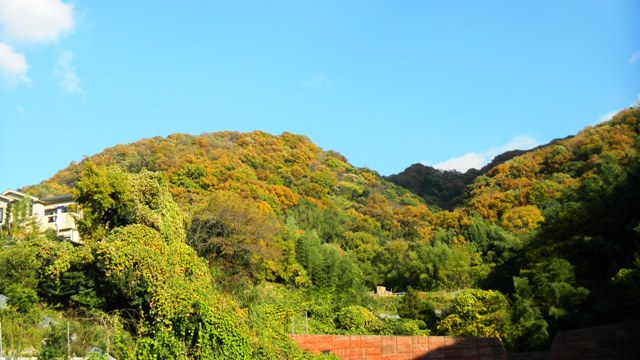 紅葉の山・往丈生院付近から.JPG