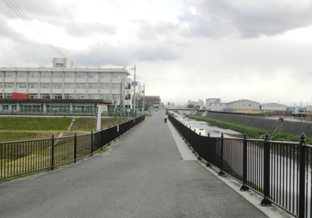 恩智川沿いの道 (3).JPG