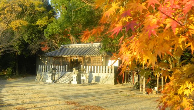 金山彦神社 Ｂ.JPG