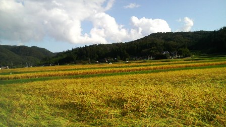 清水寺への道の辺 (2).JPG