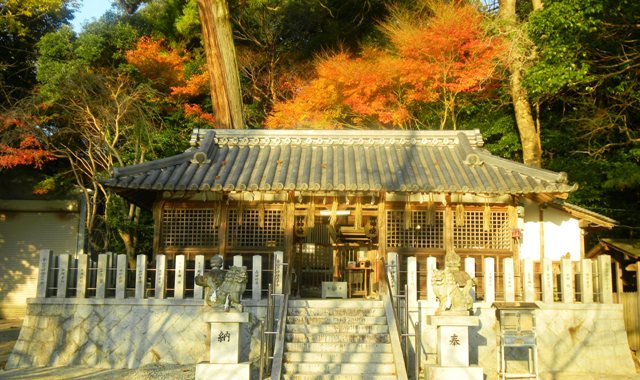 金山彦神社Ｂ (2).JPG