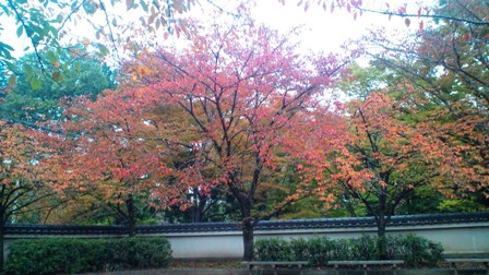 大和郡山市内の公園.jpg