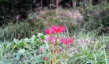 清水寺への道の辺 (4).JPG