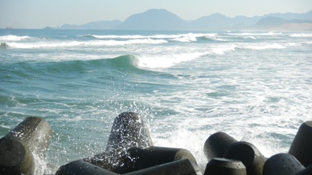 019千代川河口突堤より (2).JPG