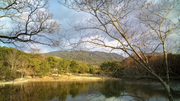 025奈良公園・荒池から春日山を望むＢ.jpg