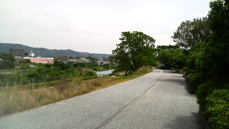 鏡川・自転車道.JPG