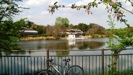 鶴見緑地・大池 (3).JPG