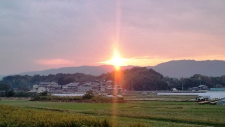 富雄川畔夕照.jpg